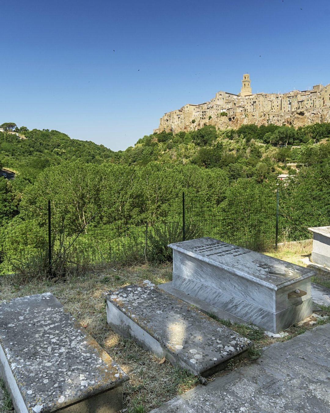 Cimitero (8)
